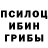 Псилоцибиновые грибы прущие грибы Qasd Fdef