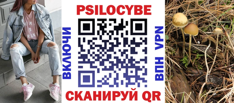 Купить  Белореченск  Псилоцибиновые грибы мицелий 